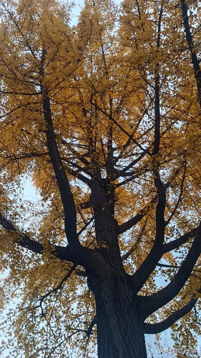 秋雨中的中山公园旧书摊