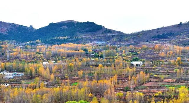 景色怡人！大自然的冬日画作，小城成了树木编织的五彩秘境！