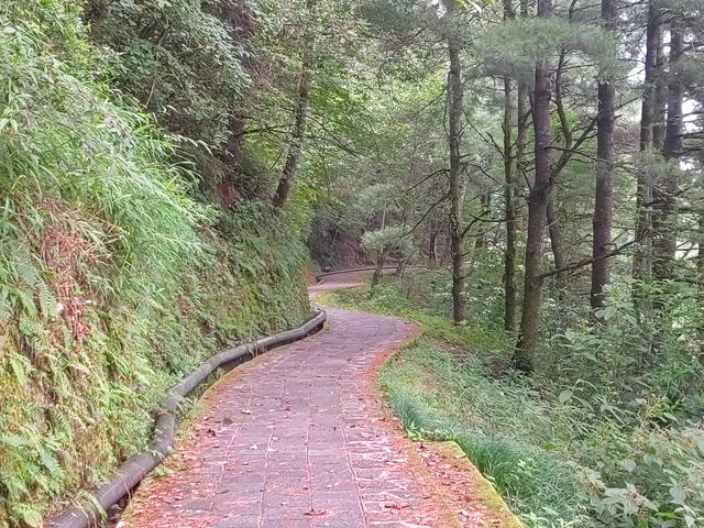 在苍山玉带路徒步