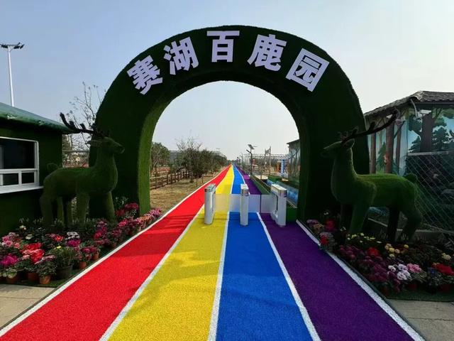 2026元旦打卡地图！全市景区活动集锦，一键解锁→