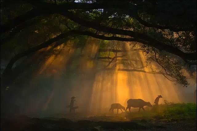 这是油画还是实景？太美太美啦！！