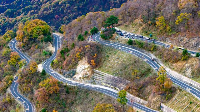 山道弯弯秋色浓