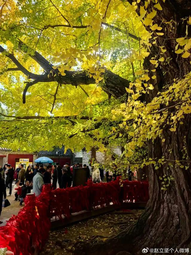 连发两篇!赵立坚推介日照这一美景:每一帧都是壁纸!