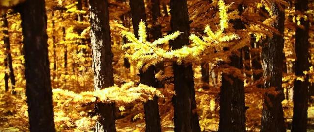 进度已达90%！呼和浩特进入全盛期！最近每天都不一样，呼市人抓紧出门