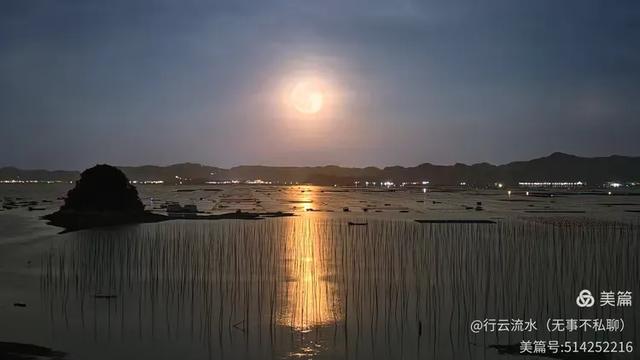 彩色旅图｜光影里的霞浦：滩涂、古树与渔排的诗意时光