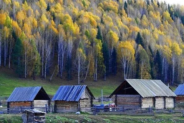 禾木：大自然最深情的画卷