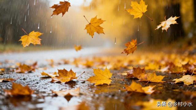明日中秋节，老人说最怕“中秋节一日雨”，中秋节下雨有啥预兆？