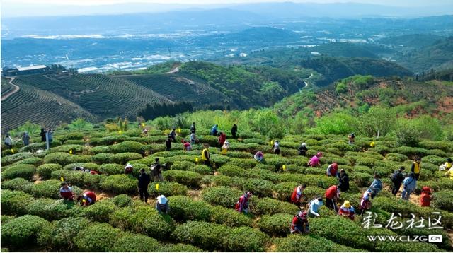旅居云南·昆明好在（十二）山美水美物美，宜居宜游宜良
