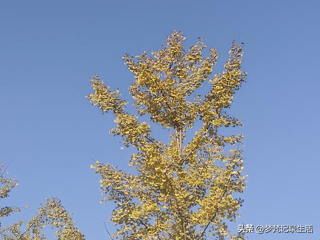 我妈安排的事是我支持的我就会满心欢喜地去做，不支持的就很反感