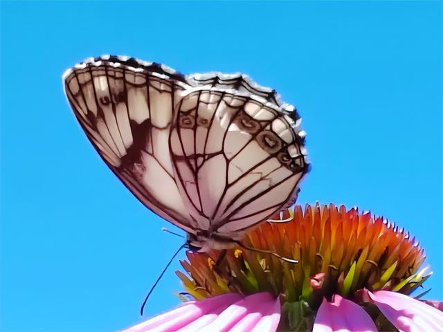 邂逅浪漫秘境 拥抱灵气氧吧