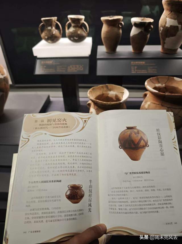 白砍鸡，趴窝鸡！