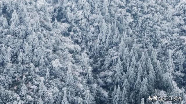 寒潮“炫技”成功！三江这地方浪漫值拉满