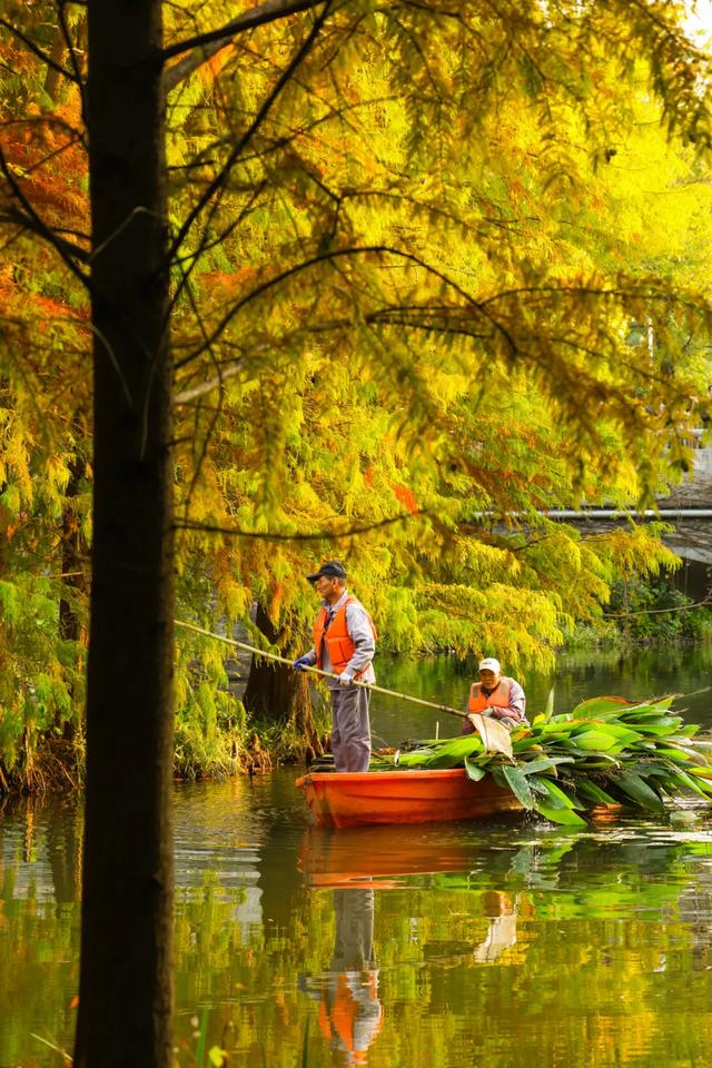 时间在这里按下暂停键，让我们见证季节变换