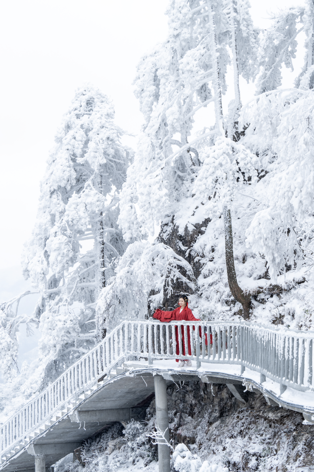 接下来的光雾山，四川人必游！耍雪、赏雪，一次性拿捏多重快乐～