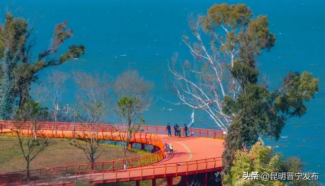 寻找旅居晋宁的密码