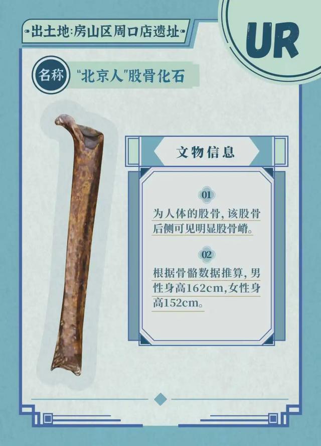 公众考古季丨抽取你的考古“盲卡”——金中都考古体验活动大朋友专场来啦！