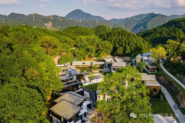 【票根经济来了！】黟县放大招：一张门票解锁N重消费福利，50万现金券明日开抢！ | 皖美夏日