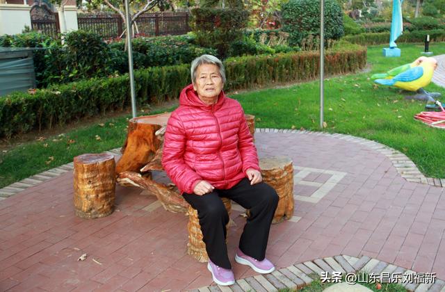 携老伴虹桥花园赏菊（上）