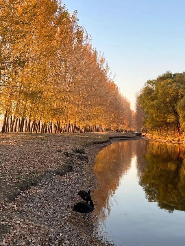 秋景如画！沈阳赏秋地图发布→