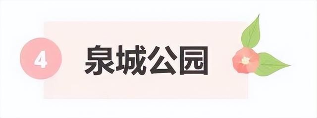 济南第一波蜡梅开了！这些赏梅地，赶紧冲！