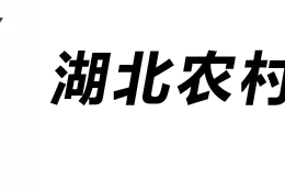 垄上宠粉节 | 全“礼”以赴，无限宠爱，百万大奖等您来拿！图片