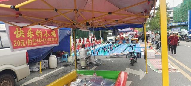 安逸安居·乐购金秋暨第四届中国国际熊猫消费节安居分会场启幕！