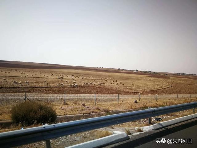 蓝白巷弄与敞门面包车,摩洛哥的荒诞与真实