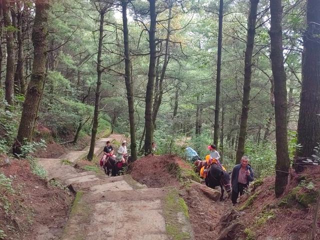 在苍山玉带路徒步