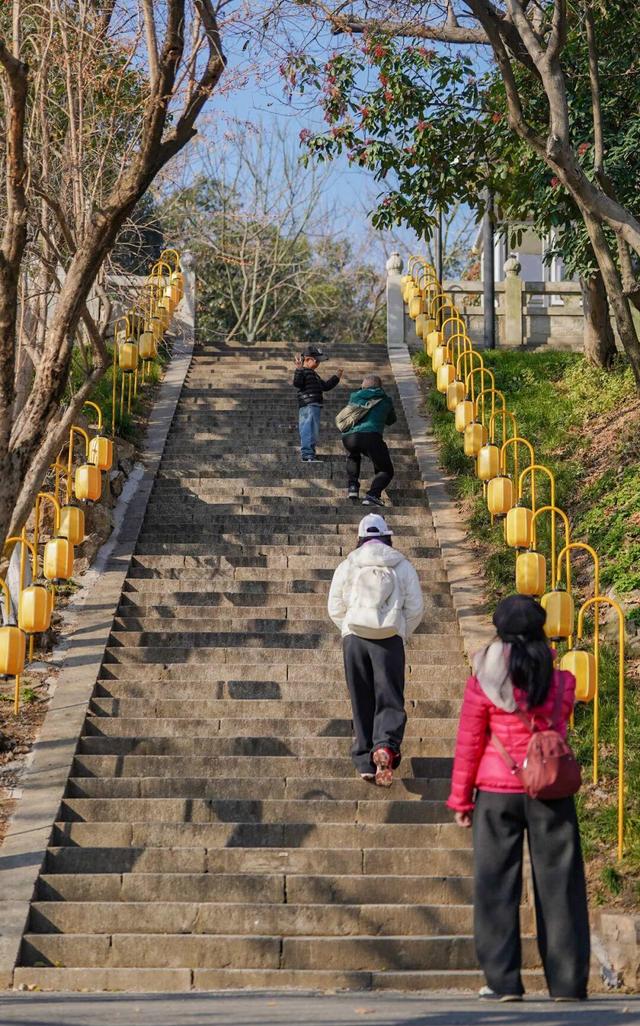 武汉冬日三大秘境徒步路线曝光：知音殿重启，红嘴鸥“打卡”东湖