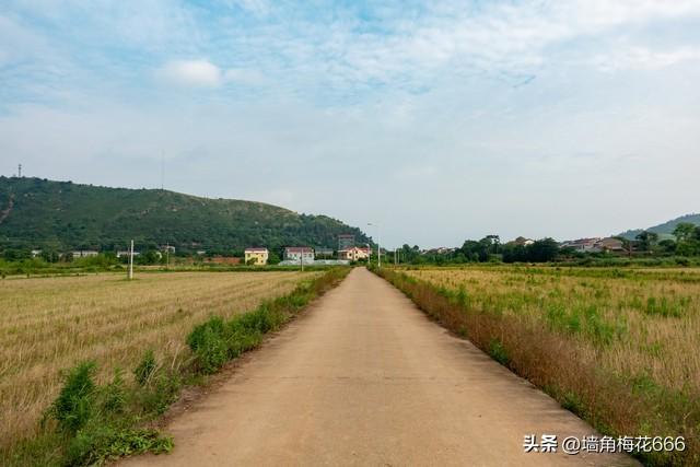 那年去相亲，到了对象家门口，我转身就走，姑娘追上来：跟我回家