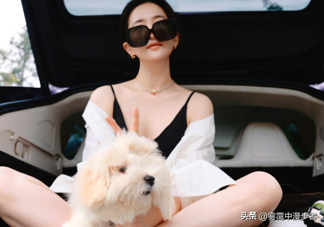 刘亦菲国庆自驾大曝光！新车新狗有寓意，目的地引8000万网友竞猜