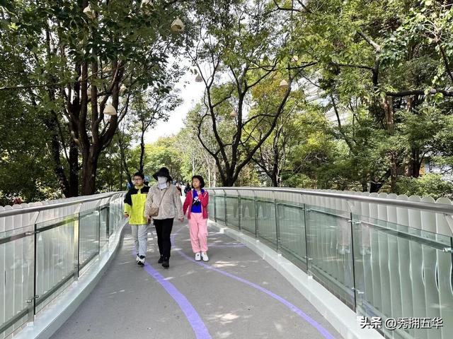 连通翠湖、昆明老街片区！翠湖城市绿道建成开放