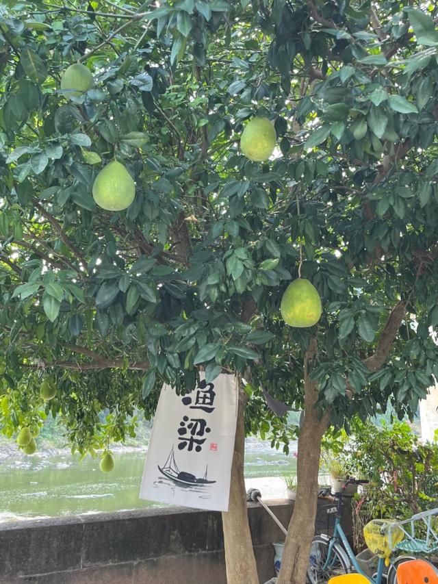 和老伴去安徽歙县住了一个月，我实话实说：跟想象中完全不一样