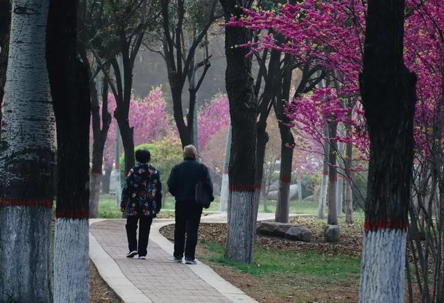 63岁大爷诉苦：搭伙过两个女人后我才明白，女人老了都不“省心”