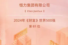 江苏省3家世界五百强企业，总部都在苏州，盈利能力怎样？图片