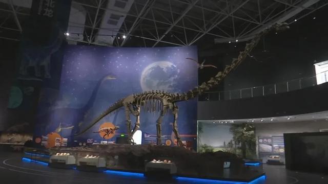 门票40元!河北地质大学博物馆正式运营,“一票难求”或将成历史