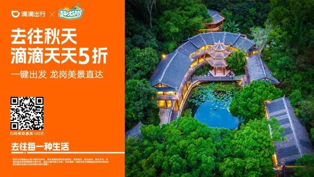 假期上龙岗“微度假”！演唱会+周边畅玩8天不重样！