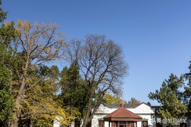 以我4次经历，带你打卡北京香山，北京的朋友请补充