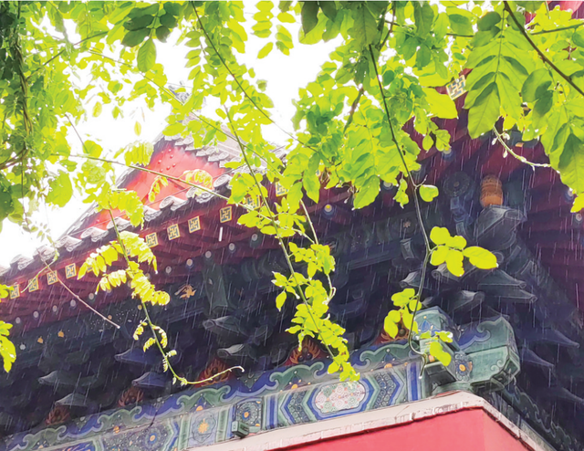 天下泰山丨古庙听雨 沁润心灵