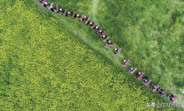 西藏，旅行天花板！2026年的最全玩法，就在这篇里→