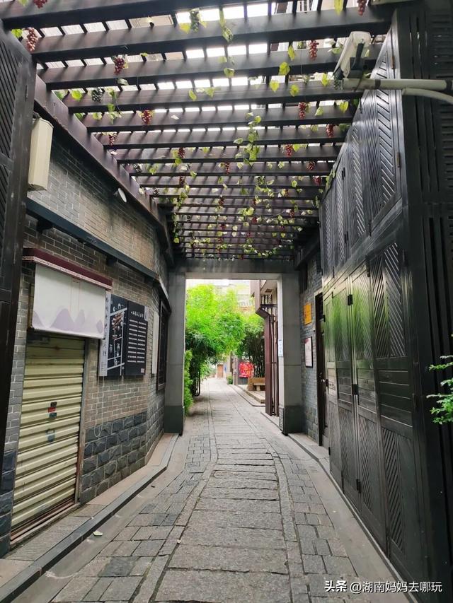 官宣！2025省级亲子宝地出炉！专治遛娃没头绪