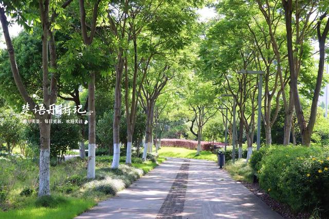 浙江宁波的江畔公园，湿地、溪谷、花海等一应俱全，堪称露营胜地