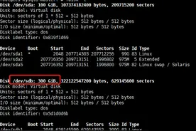 Linux系统磁盘扩容实践（八）——扩容已挂载的磁盘图片
