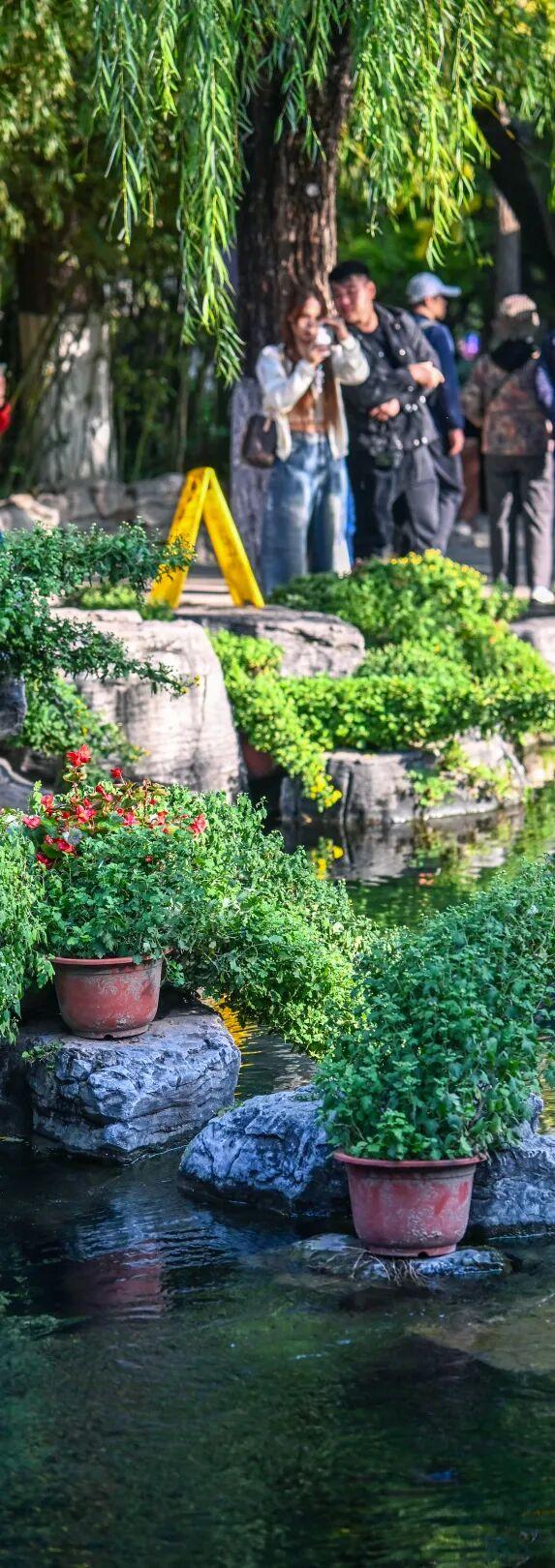 走，去趵突泉！收集秋天最靓的九宫格～