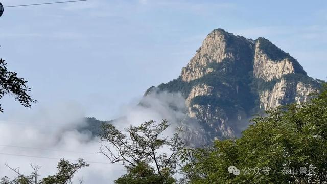 泰山云海：水墨长卷里的山河诗行