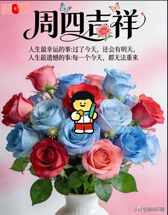 冬日清晨光线钻窗缝，那份温暖轻抚心房，让光明走进你的世界