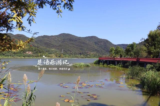 浙江绍兴少有人来的湖泊，景观步道被红杉掩映，平日秀丽秋色更美
