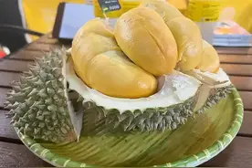 国产榴莲6月上市！产量2000吨是什么水平？能让价格大跳水吗？图片