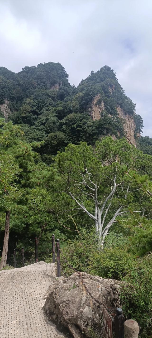 王顺山观景台风光
