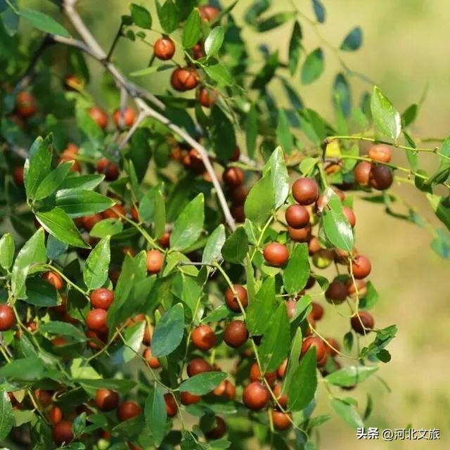 一路出色，打卡保定3条色彩秘境~